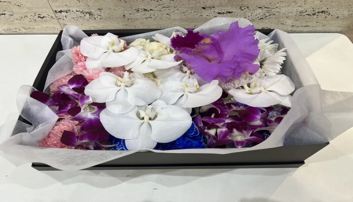 葬愛メモリアル