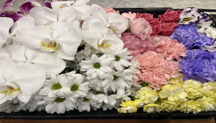 葬愛メモリアル