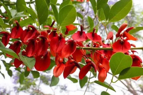 葬儀社　中山企画で葬儀を行なった写真