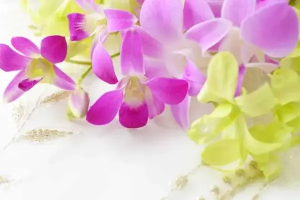 葬儀社　中山企画で葬儀を行なった写真