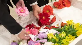 直葬・火葬プラン