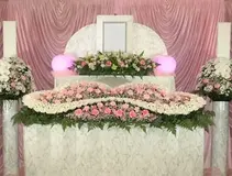 ひだまりプラン