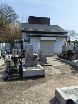 心蓮