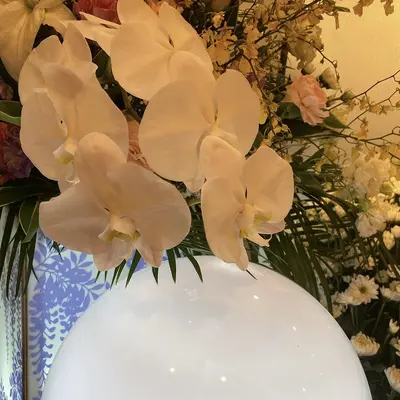 セレモニーツナグ（積翠寺別院）で葬儀を行なった写真