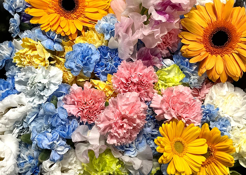 墨田区/はじめてのお葬式