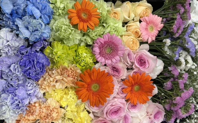 墨田区/はじめてのお葬式