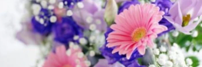 円心合同会社で葬儀を行なった写真