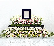 一日葬プラン