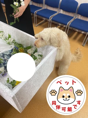 花彩典　城南ライフホールで葬儀を行なった写真