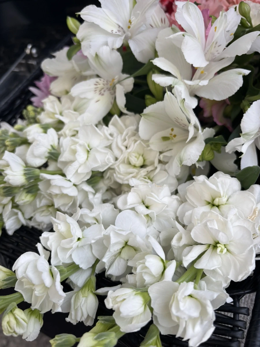 神奈川直葬センター