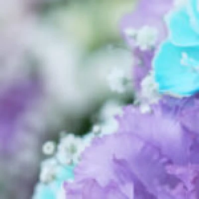 神奈川直葬センター