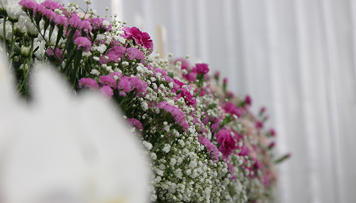 あなたに合わせたプラン