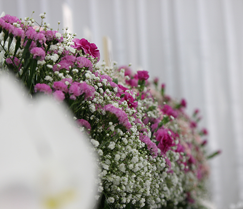 あなたに合わせたプラン