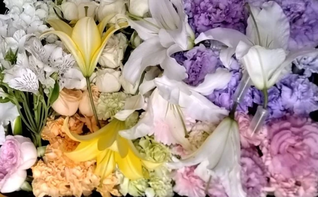 文京区/はじめてのお葬式で葬儀を行なった写真