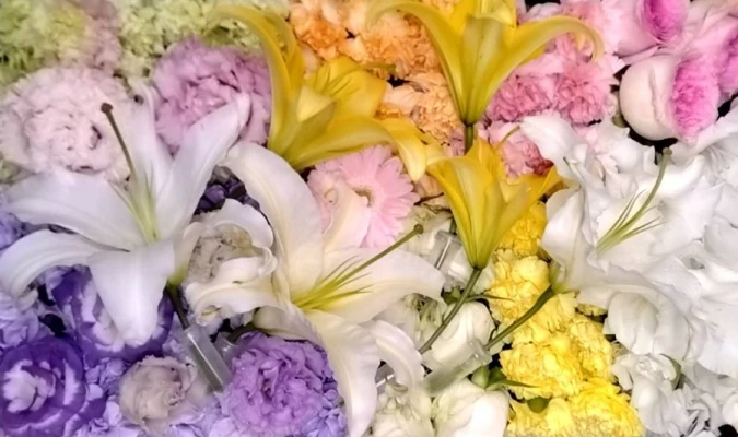 文京区/はじめてのお葬式で葬儀を行なった写真