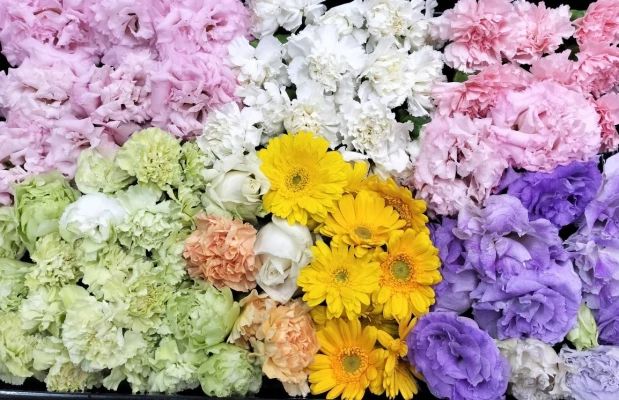 文京区/はじめてのお葬式