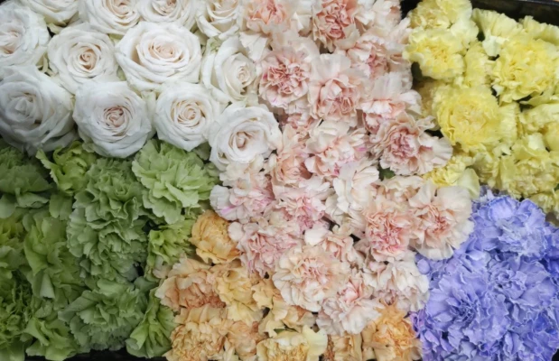 文京区/はじめてのお葬式で葬儀を行なった写真