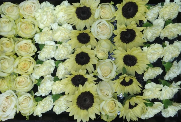 文京区/はじめてのお葬式で葬儀を行なった写真