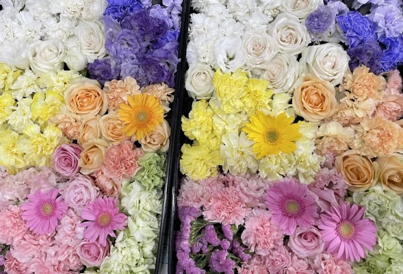 文京区/はじめてのお葬式で葬儀を行なった写真