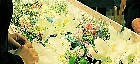 火葬式プラン