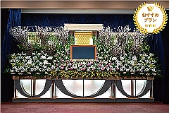 プレミアムプラン