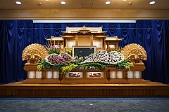 スタンダードプラン