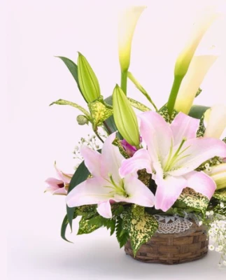 タルイ会館 高砂荒井で葬儀を行なった写真