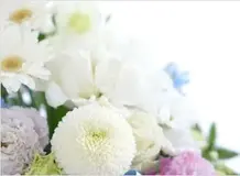 直葬プラン