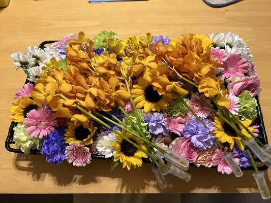 ししくらセレモニーで葬儀を行なった写真