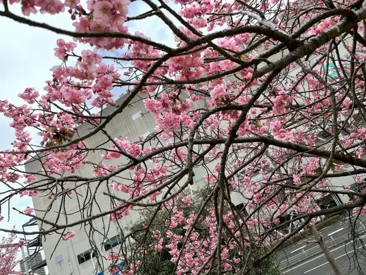 浦和斎場で葬儀を行なった写真