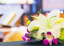 生活福祉葬（直葬）プラン