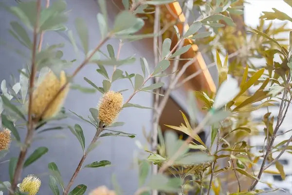 松山市民直葬センター宮西で葬儀を行なった写真
