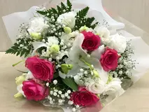 火葬プラン