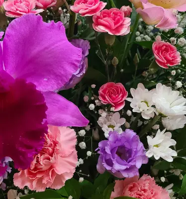 平安メモリアル 海老名支社