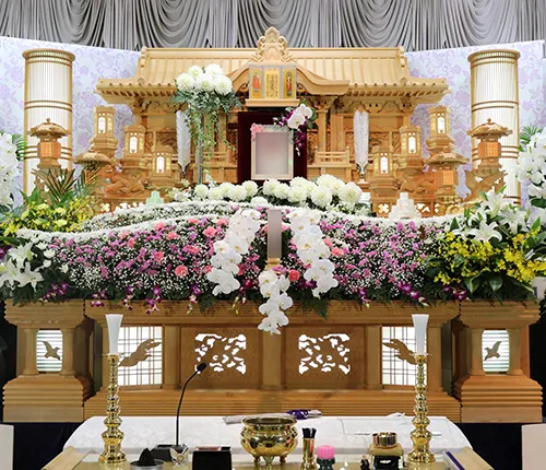 アビコセレモア