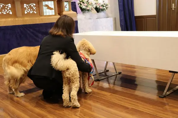 アビコセレモアで葬儀を行なった写真