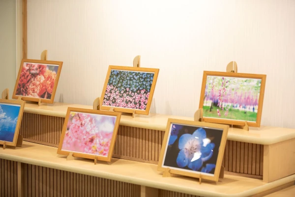 サン・ライフ(しぶさわファミリーホール)で葬儀を行なった写真