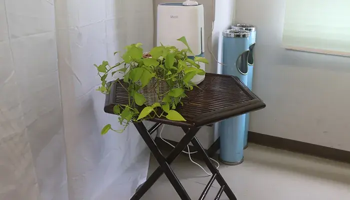 興伸典礼で葬儀を行なった写真