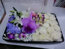 直葬・火葬プラン
