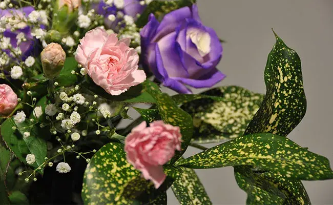 株式会社悠久(家族葬ホール悠久)で葬儀を行なった写真