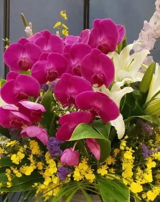 平安メモリアル　大和営業所で葬儀を行なった写真