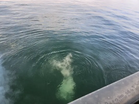  雅庵 城東館で葬儀を行なった写真