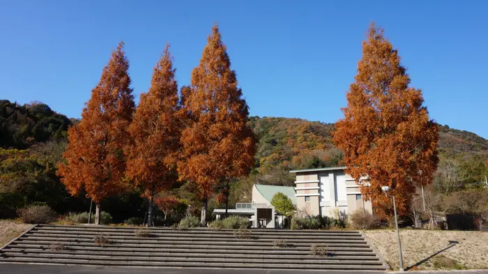 大翔苑で葬儀を行なった写真