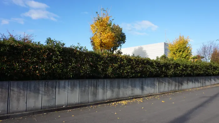 善通寺市斎場で葬儀を行なった写真