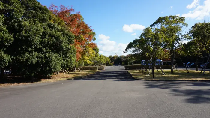 徳島市立葬斎場(当面の間、通夜・告別式は不可)で葬儀を行なった写真