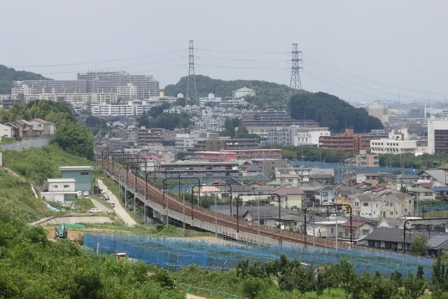 稲城市民葬儀のメリットデメリット｜費用や利用方法も徹底解説