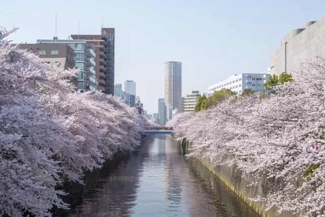 目黒区の区民葬のメリットデメリット|費用や利用方法も徹底解説