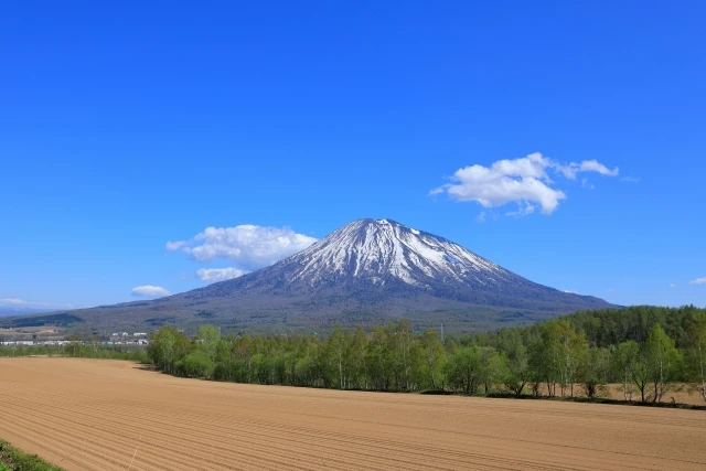 初夢はいつ見た夢のこと？3つの説と夢占いでの考え方