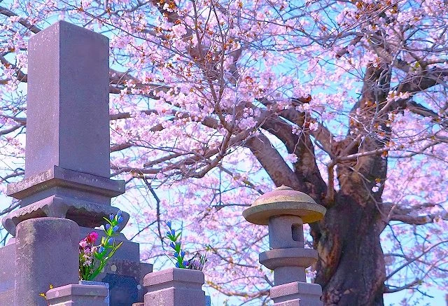 【2026年/令和8年】春のお彼岸はいつ？やること・やってはいけないことを分かりやすく解説