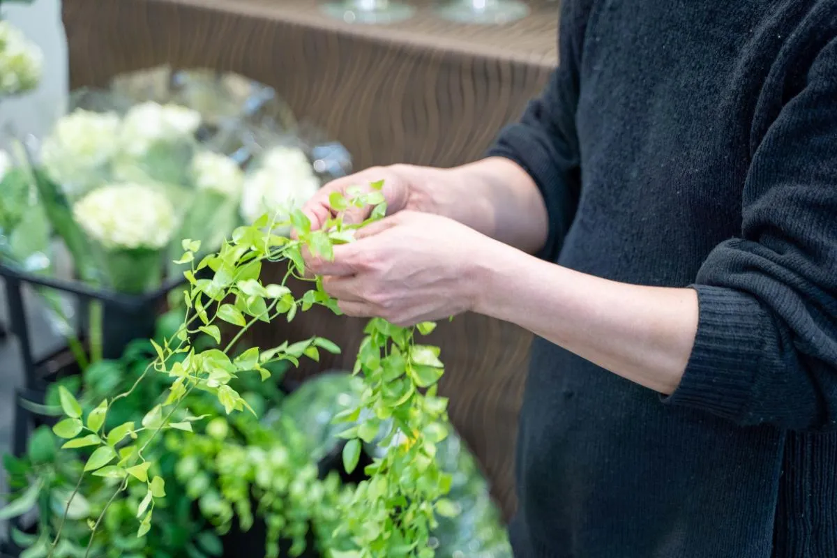 生花店から始まった葬儀社。お客様の心の整理をお手伝いします。